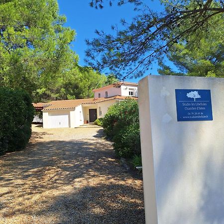 Studio D'Hotes Les Libellules Castelnau-le-Lez Esterno foto
